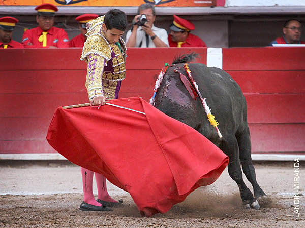 Limpios trazos de muleta