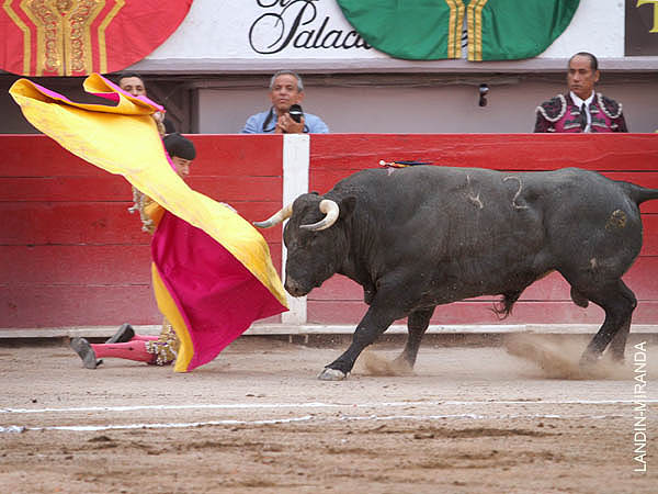El saludo de Oliver Godoy