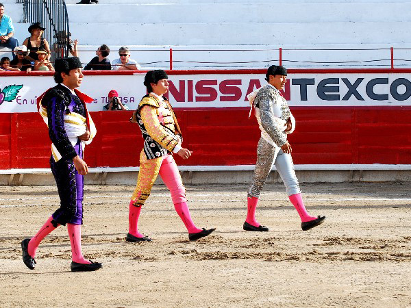 El desolador pasello