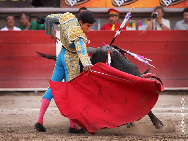 Pit�n roto en el burladero