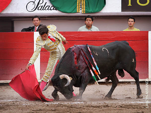 Actitud por encima de todo