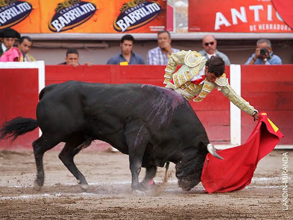 Buenos momentos en la muleta