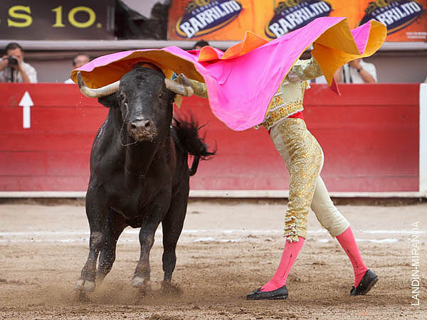 Vistoso y jaleado en el quite