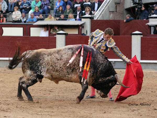 Un lote sin posibilidades