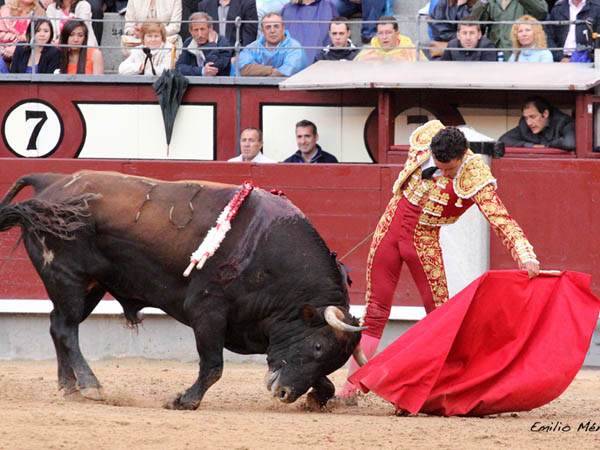 Estuvo l�cido y torero