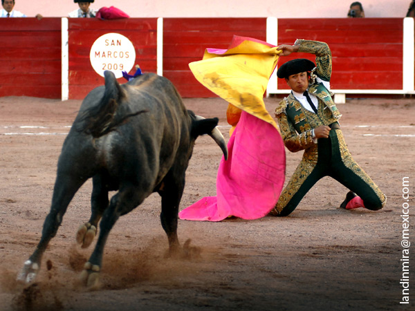 En la puerta del toril