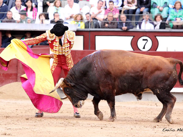 Jaleado en las ganeras