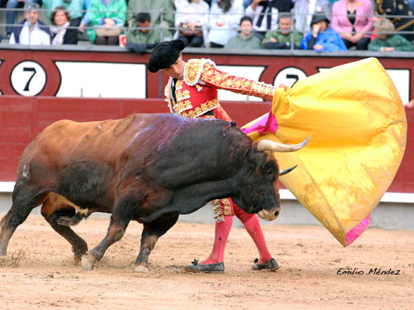 Luci� desde el capote