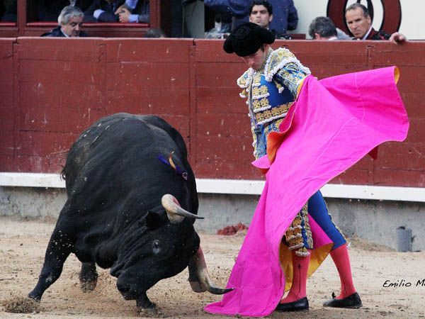 Desmotivaci�n abierta y descarada