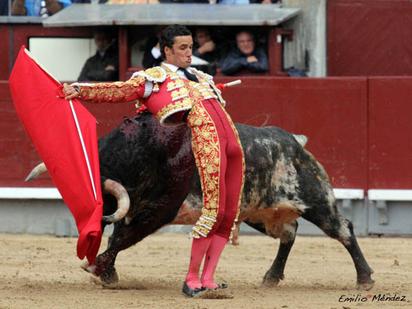 Pintaba para puerta grande