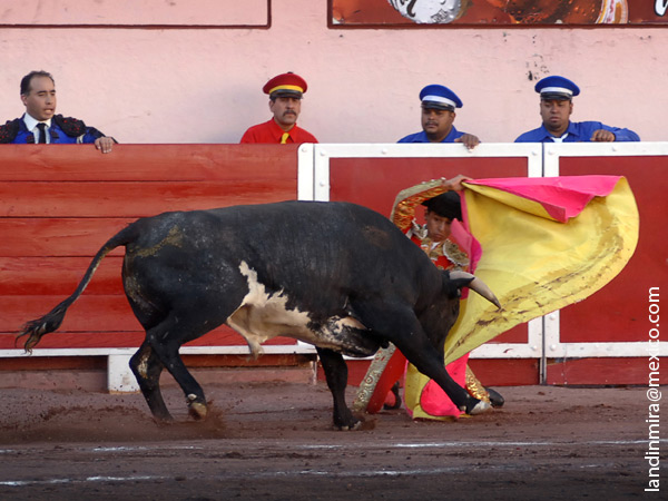 Larga de Javier Gallardo