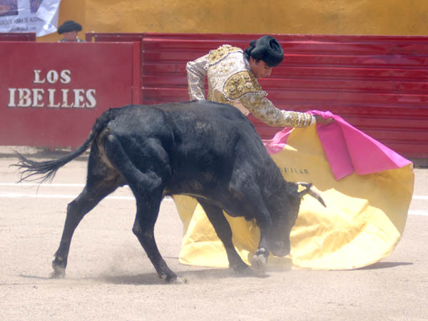 Variedad de David Aguilar