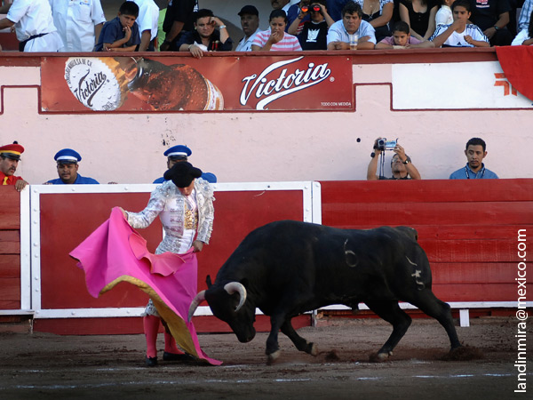 Alzate a la ver�nica