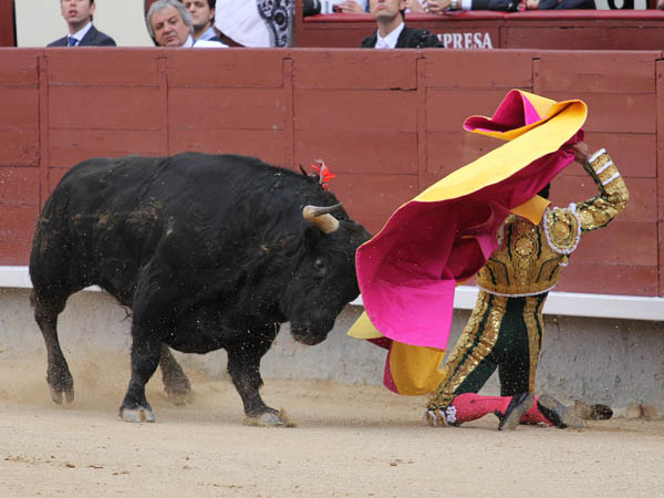 Zotoluco, primer espada