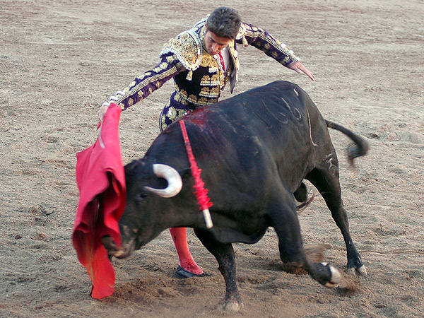 Metido en la canasta