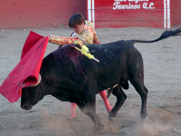 Embebido en la muleta