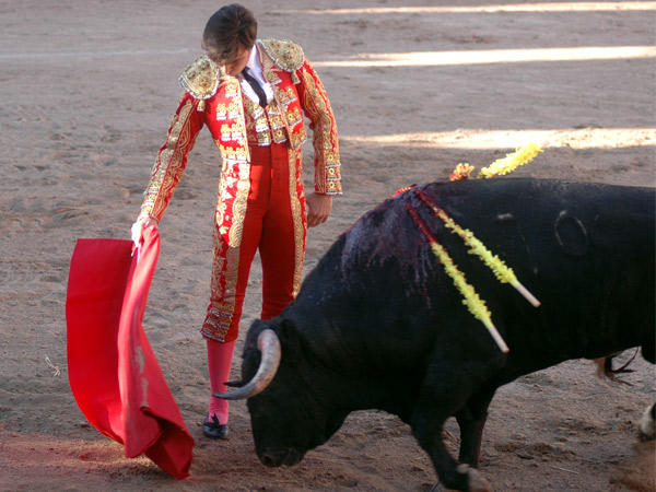 El pulso de Jos� Mauricio