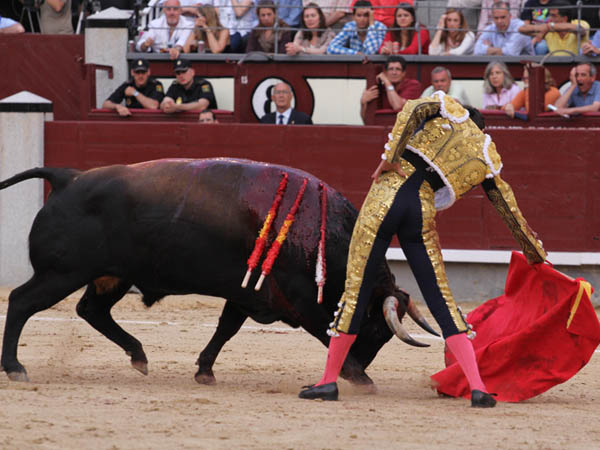 Ya hab�a dejado la ocasi�n