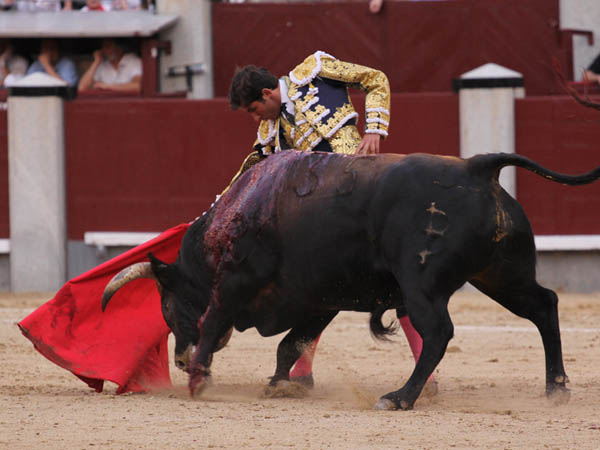 Hast�o cl�sico de muchos domingos