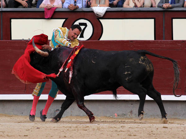 El estoque fue lo mejor que llev�