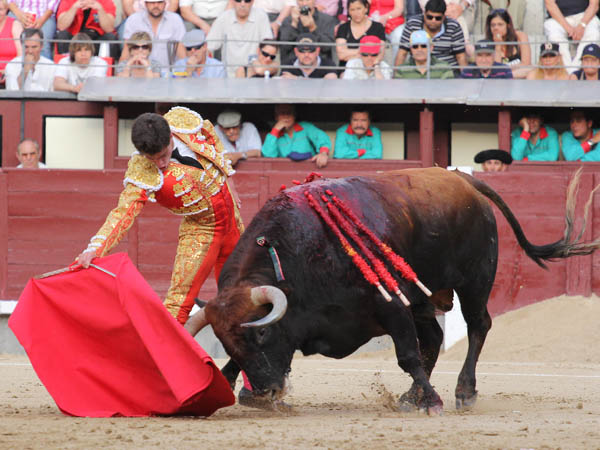 Se rebozaba con �mpetu