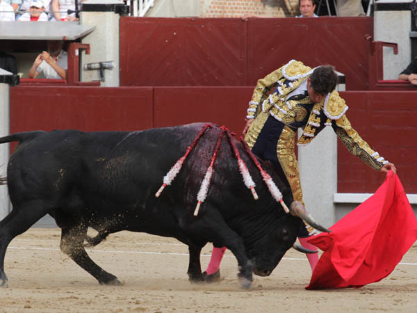 No muchos espadas le cuajar�an