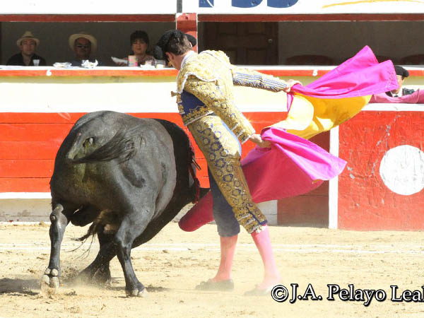 Gaoneras en el quite