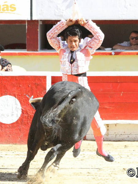 Maestro en banderillas