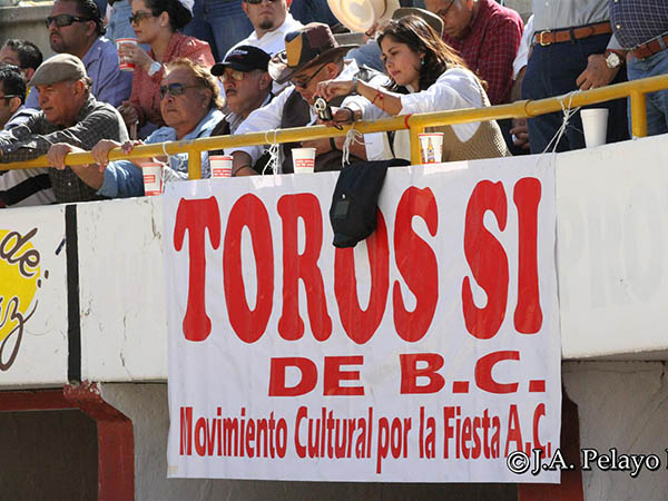 El toro tambi�n es cultura