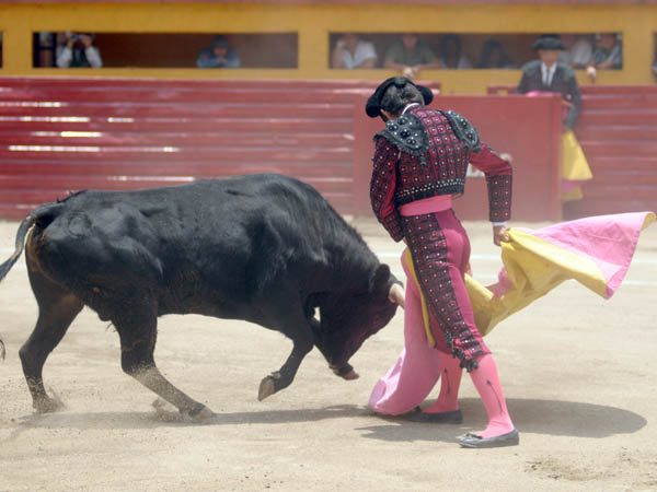 Mirafuentes y su media