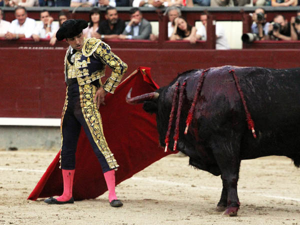 S�lido valor de Casta�o