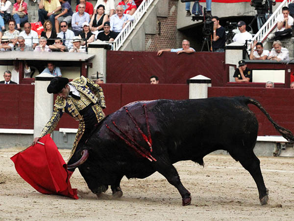 Reflejo de viejas tauromaquias