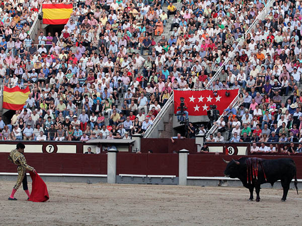 Malentendido purismo
