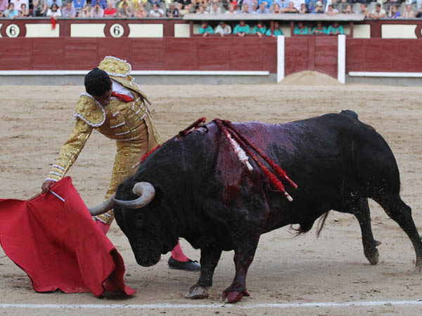 Pudo haberse peleado un poco m�s