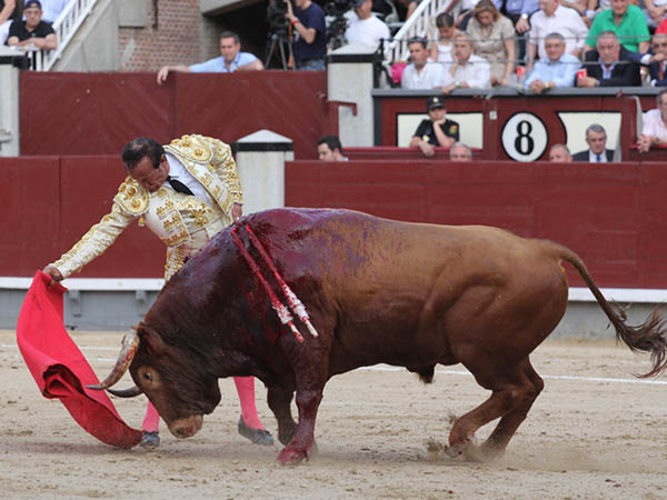 Nadie chill�; ni los m�s exigentes