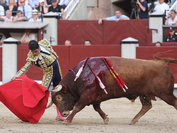 Templado a pesar de la aspereza