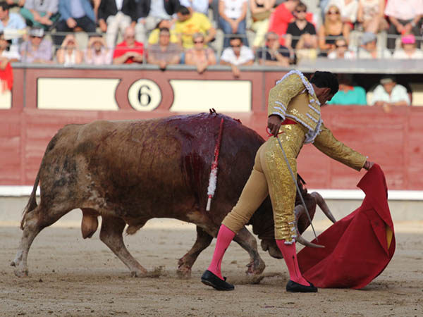 El p�blico, ni a favor ni en contra