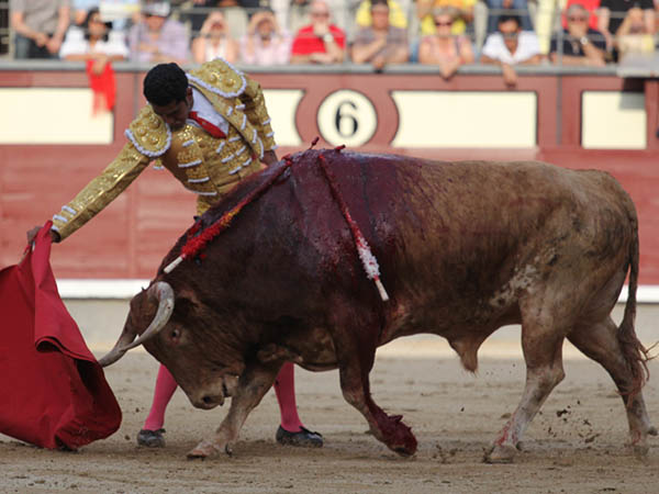 Aseado, serio y profesional