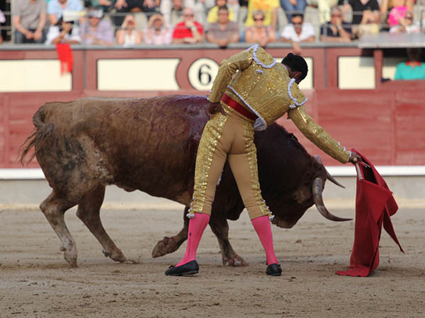 Caeza a media altura