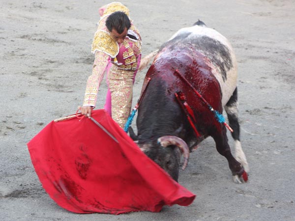 Ismael  triunfador absoluto