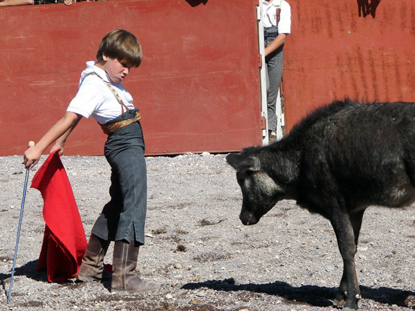Valiente Pedrito Llaguno