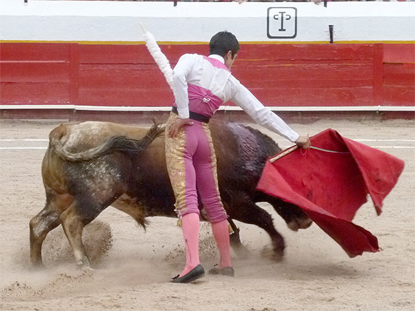 Carlos Fuentes, revelaci�n