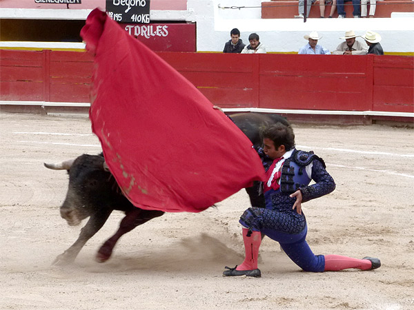 La reaparici�n de Manolo Rold�n