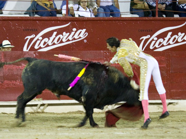 La estocada de la tarde