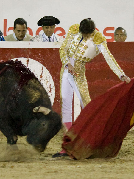 Natural muy vertical