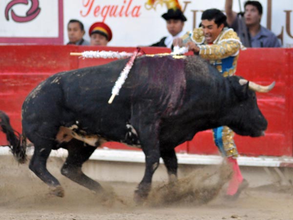 Comprometido quiebro