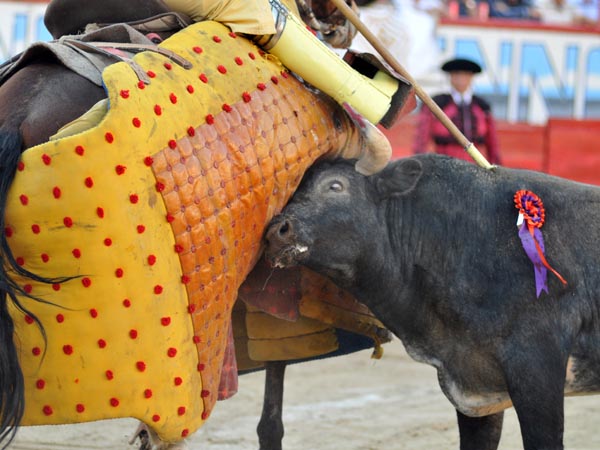 Los toros cumplieron