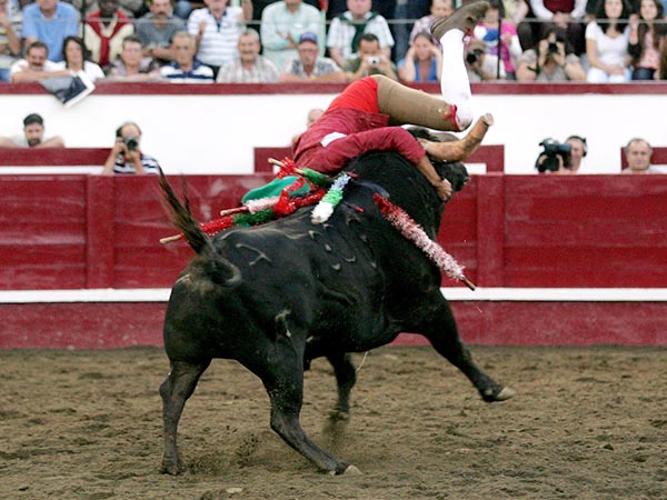 Forcado de Ramo Grande