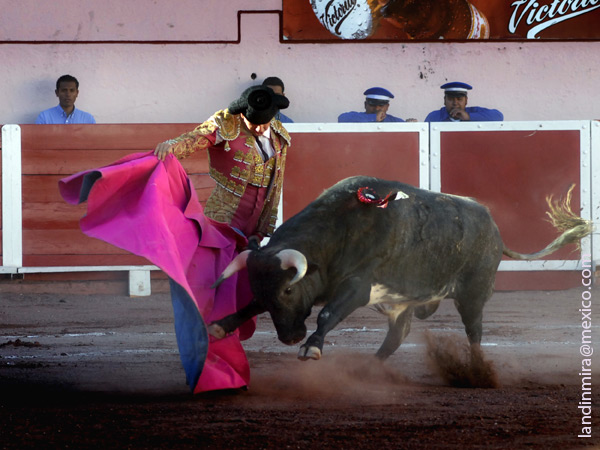 Ver�nicas leonesas