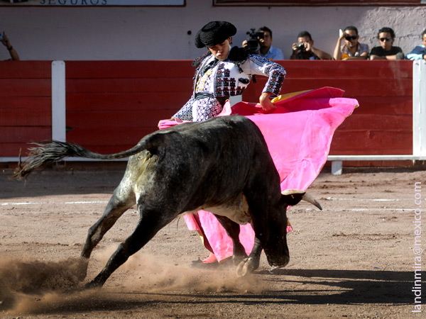 Chicuelinas en el quite